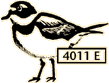 Semipal plover