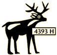 Native American Deer